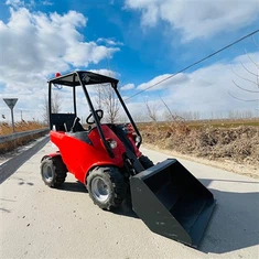 20 کلو واٹ پٹرول انجن لوڈر کارخانہ دار